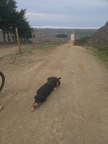 Fotografía de Mirador El Paco