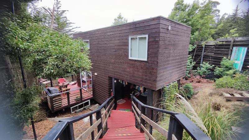 Fotografía de Cabañas del Bosque Pichilemu