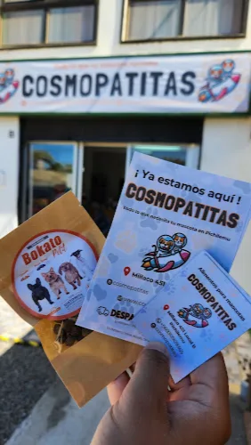 Fotografía de Tienda para Mascotas Cosmopatitas
