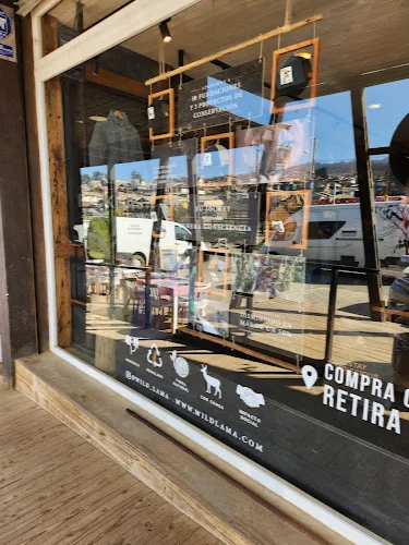 Fotografía de Wild Lama Pichilemu
