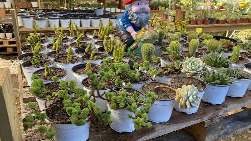 Fotografía de Vivero Campo Vivo