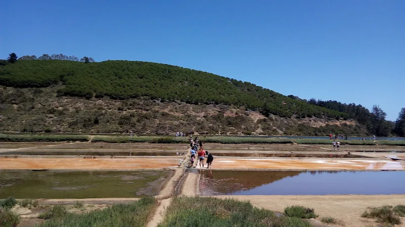 Fotografía de Salinas de Cáhuil