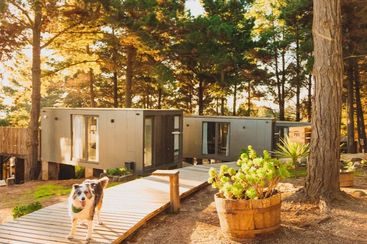 Fotografía de Buda Lodge Pichilemu