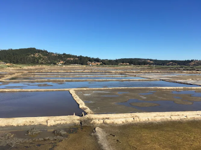 Fotografía de Restaurante Salinas de Barrancas Pichilemu