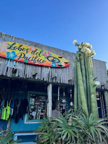Fotografía de Lobos del Pacifico - Surf Club