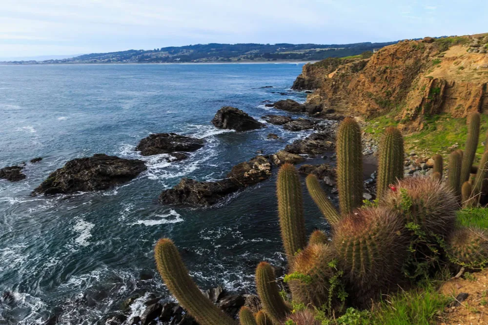 Costa rocosa con acantilados y cactus junto al mar en Pichilemu