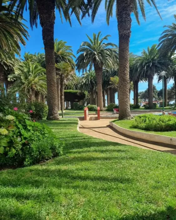 Senderos y jardines entre palmeras en el Parque Ross de Pichilemu