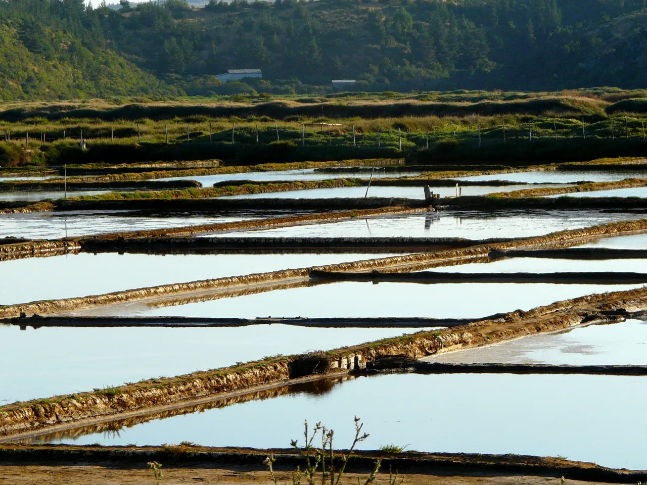 Salinas de Cáhuil y su entorno